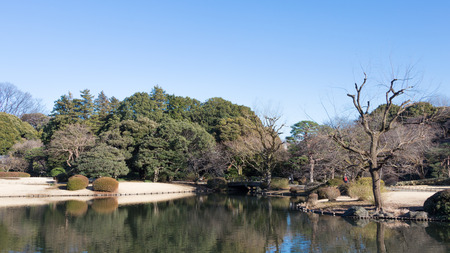 Tokyo - 4 February 2015: Beautiful park with a pond and a bridge in Tokyo in the winter in good weather February 4, Tokyo, Japanのeditorial素材