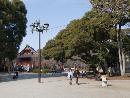 Tokyo - Feb. 4, 2015: People walk in the park Ueno winter in good weather February 4, Tokyo, Japanのeditorial素材