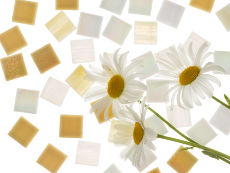 beautiful satin square glass light pearl mosaic and sand with blurred stripes scattered isolated on a white background and three daisies, similar in color to the mosaicの写真素材
