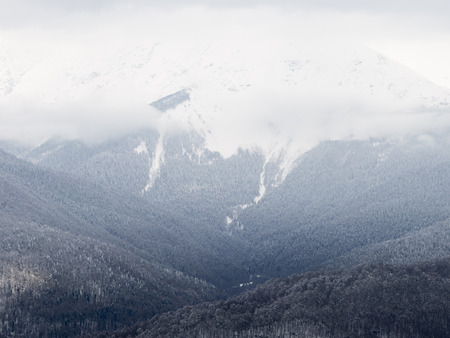high mountains covered with forest, snow and cloudy in the mountains Russia, Russia