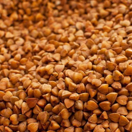 buckwheat background