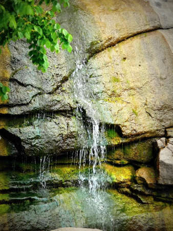 A small waterfall in a pond and a sprigの写真素材