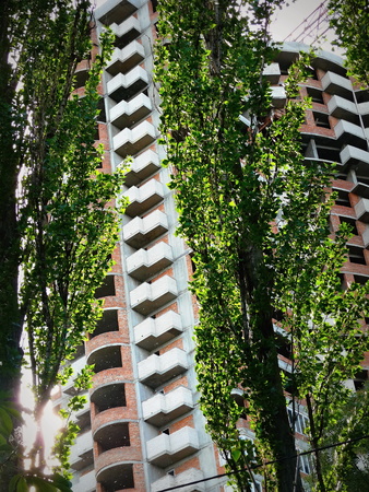 Unfinished high-rise building on a background of branchesの写真素材