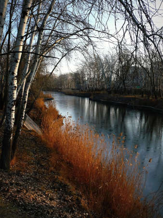 The park with a lake in the city of Komsomolsk in Ukraineの写真素材