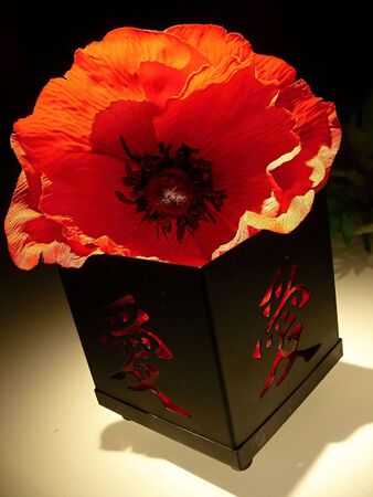 poppy flower and black candlestick in studioの写真素材