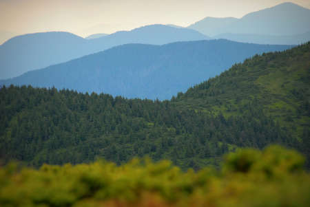 beautiful mountains in the country Carpathian Ukraineの写真素材