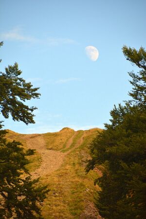 beautiful views of the mountains peaks of the Carpathiansの写真素材