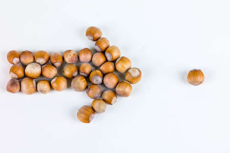 Arrow pointing to the nuts with single hazelnutの写真素材