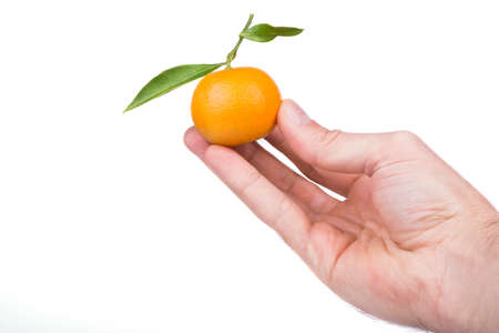 Man holding a mandarin with leavesの写真素材