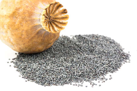 Head poppy are scattered dry grainsの写真素材