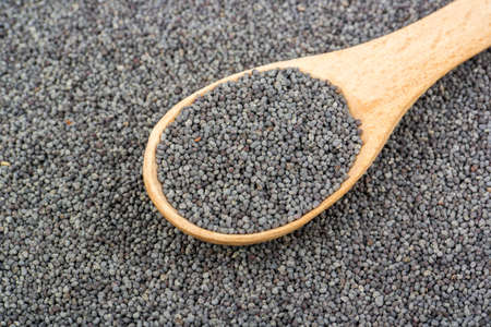Grain dry poppy in a wooden spoonの写真素材