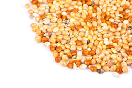Scattered multi-colored millet on a white backgroundの写真素材