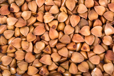 Background of raw grains of buckwheat