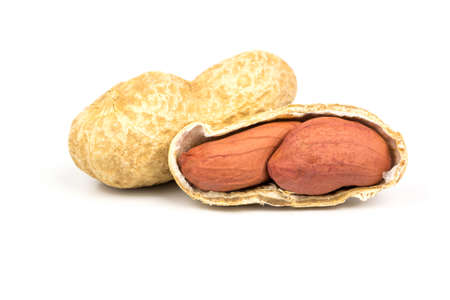 Groundnuts inshell and peanuts on a white backgroundの写真素材