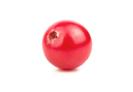 Ripe red berry cranberry closeup on white backgroundの写真素材