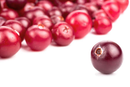 A scattered cranberry and one separate berryの写真素材