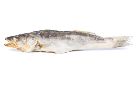 Full dried fish walleye on a white backgroundの写真素材