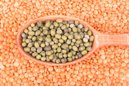 Wooden spoon with green lentils on a background of red beans