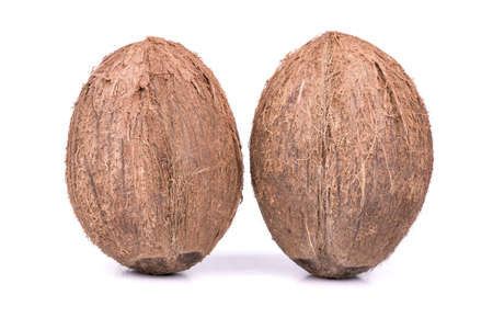 Two ripe and full coconut  with villi on a white background