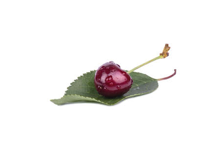 Ripe red cherries with drops lying on a leaf on a white backgroundの写真素材