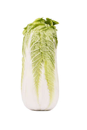 Fresh ripe chinese cabbage isolated on a white backgroundの写真素材