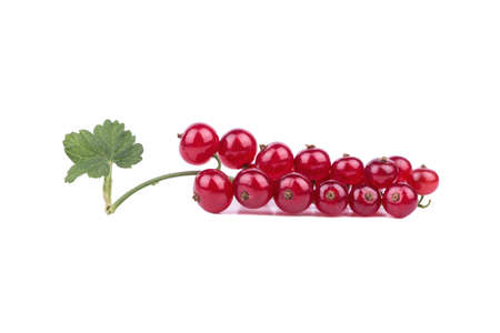 Fresh redcurrants with a leaf isolated on white background