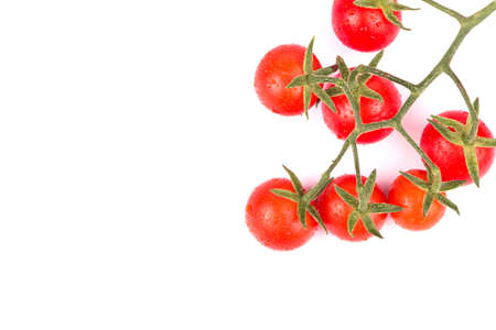 Sprig of fresh red cherry tomatoes coming out of the corner on a white backgroundの写真素材
