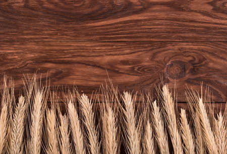Several freshly harvested spikelets of wheat stacked in a row on the wooden backgroundの写真素材