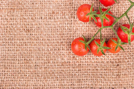 Sprig of fresh red cherry tomatoes on sacking in the upper right cornerの写真素材