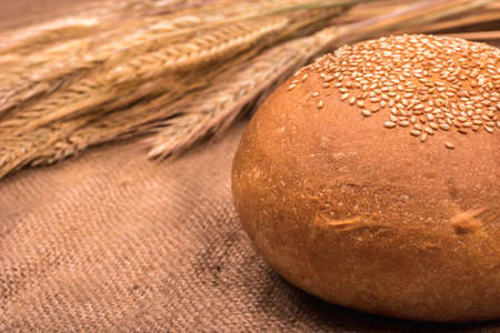The fluffy bun with sesame seeds and spikelets of wheat on sacking