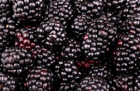 Background of fresh and ripe blackberry closeupの写真素材