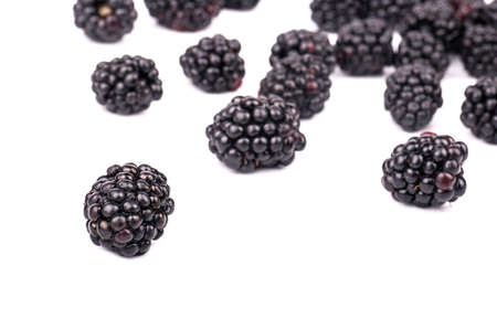 Are scattered fresh blackberries on a white backgroundの写真素材