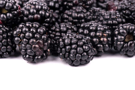 Are scattered fresh blackberries close-up on a white backgroundの写真素材
