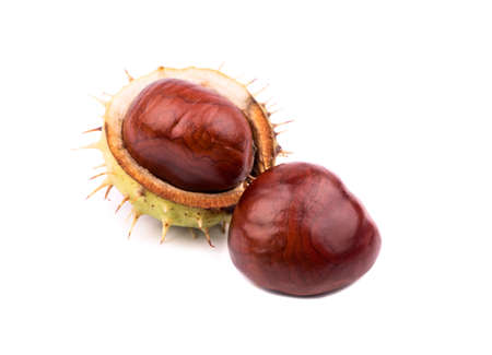 A pair of chestnuts with shells on a white backgroundの写真素材