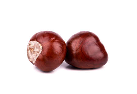 Two chestnut without shell isolated on white backgroundの写真素材