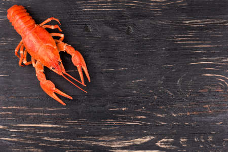 Boiled crayfish on an empty dark wooden backgroundの写真素材