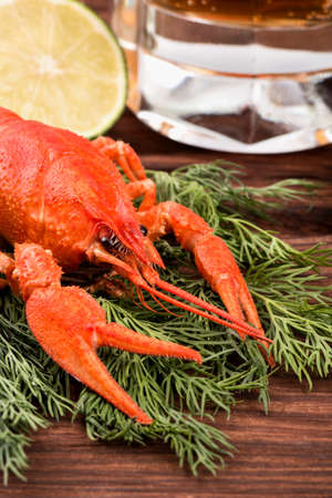 Fresh boiled crayfish with a slice of lime, dill and glass of beer on a table close-upの写真素材
