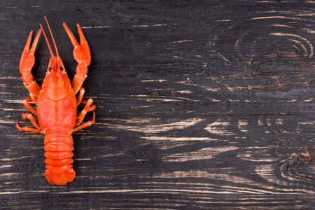 Boiled crayfish on an empty dark wooden backgroundの写真素材
