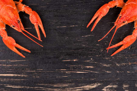 Two red boiled crawfish in the corners on the wooden backgroundの写真素材