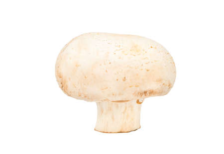 Raw champignon mushroom isolated on white backgroundの写真素材