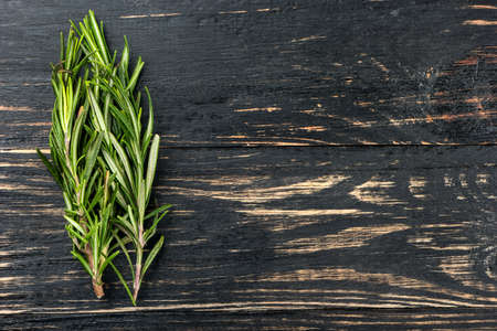 Several branches of fresh rosemary in the empty dark backgroundの写真素材