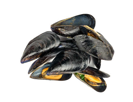 Heap of tasty cooked mussels on a white background, top view
