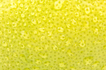 Green peel with drops fresh fruit oroblanco close upの写真素材