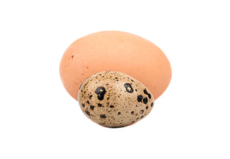 Raw chicken and quail eggs isolated on white backgroundの写真素材