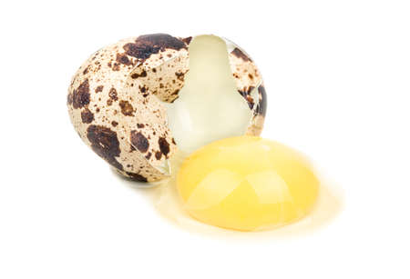 Broken raw quail egg on white backgroundの写真素材
