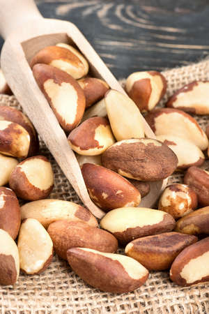 Brazil nut in the scoop on sackcloth close upの写真素材