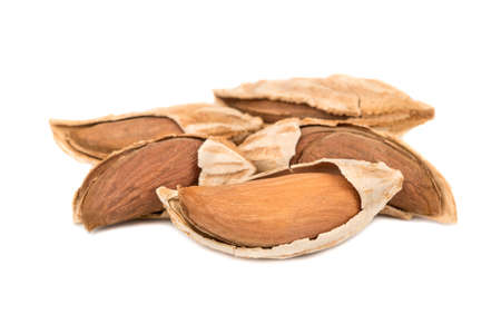 Several wild uzbek almonds on white backgroundの写真素材