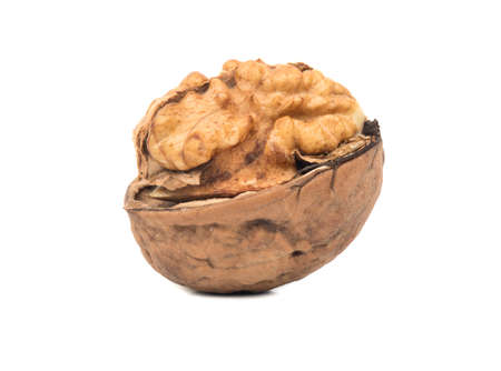 Fresh walnuts open in half on white background