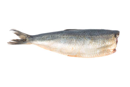 Salted herring without head isolated on white background top viewの写真素材