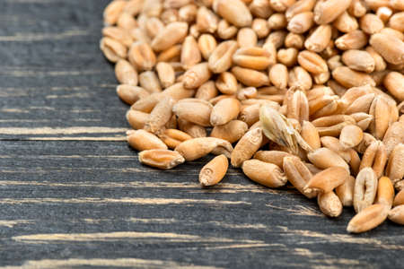 Scattered wheat grains on a dark tableの写真素材